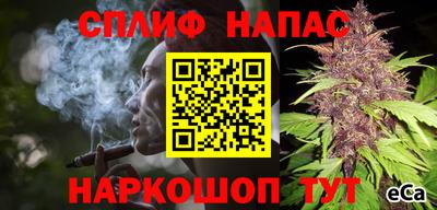 Альфа ПВП Новозыбков